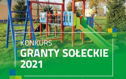 Zdjęcie do GRANTY SOŁECKIE 2021 ROZDANE!