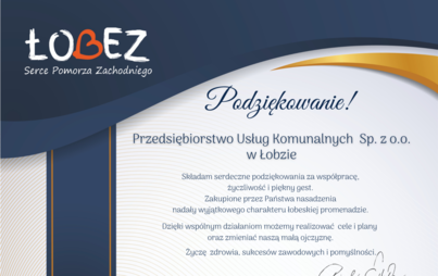 Zdjęcie do PODZIĘKOWANIE ZA WSP&Oacute;ŁPRACĘ
