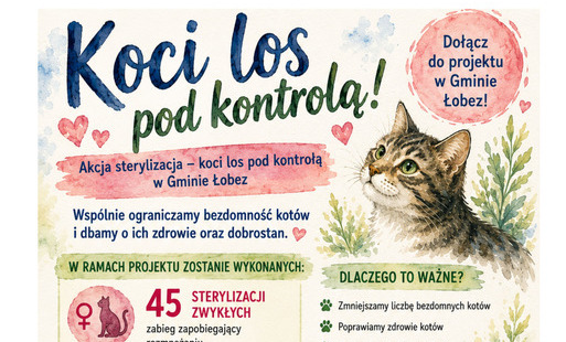 Zdjęcie do &bdquo;Akcja sterylizacja - koci los pod kontrolą w Gminie Łobez&rdquo;