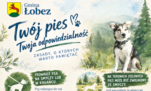 obraz dekoracyjny